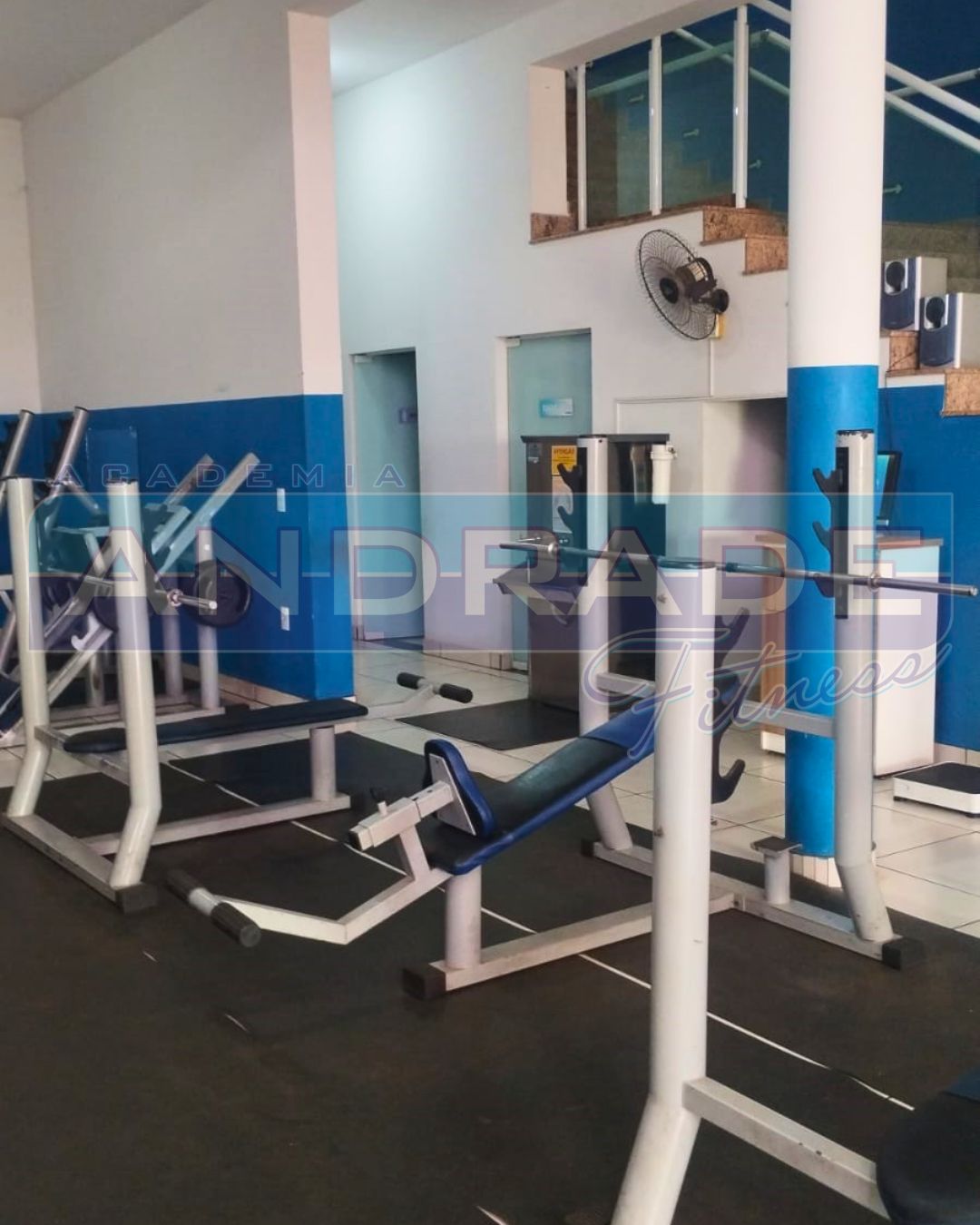 Musculação 4.jpg